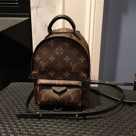 palm springs louis vuitton bag|louis vuitton monogram mini backpack.